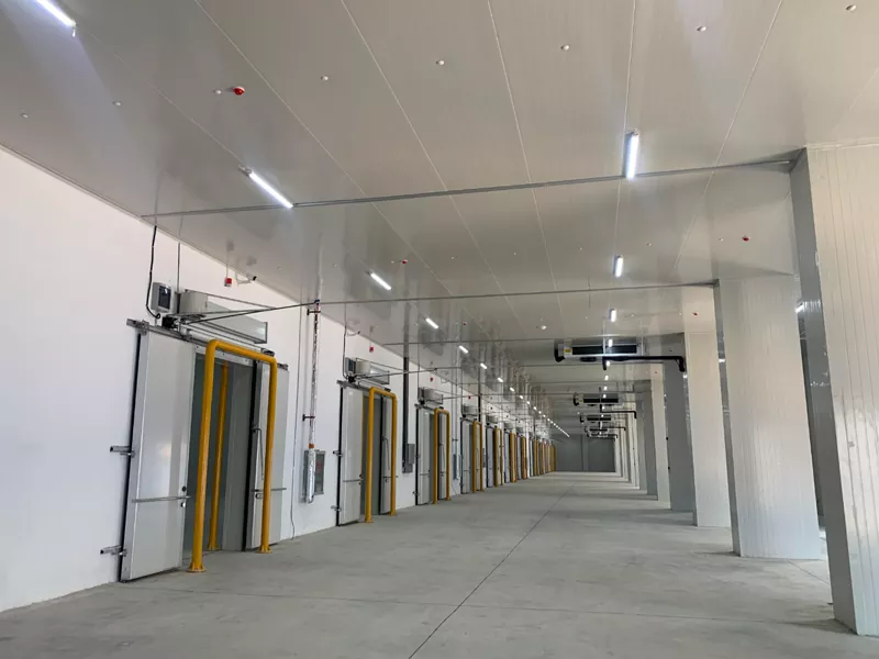 Almacén de estrutura de aceiro para refrixeración
